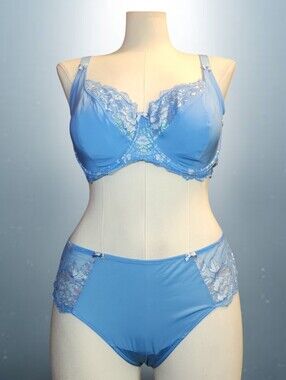 Adore Me Baby Blue Lace Underwire Super Sexy Bra Set Size 46DD 3X Metallic Lace